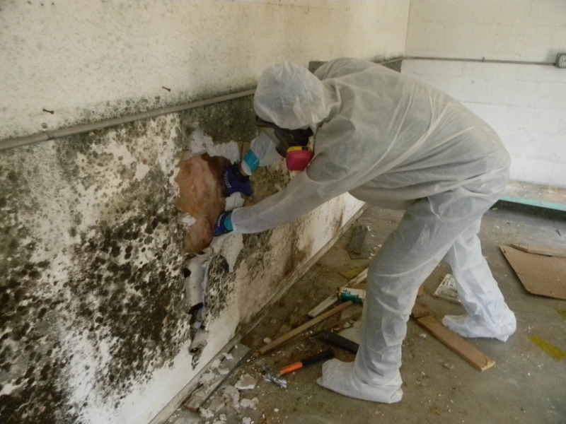 Arleta water damage restoration